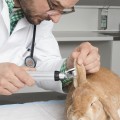 170102094459_BETA200VET_2.jpg